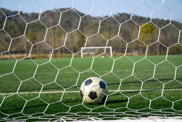 从目前情况 从目前情况