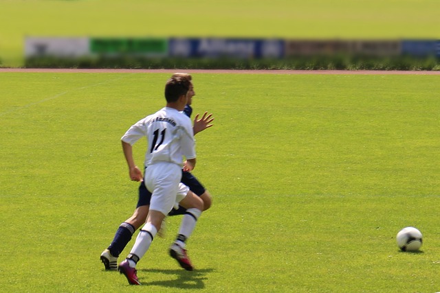 共度晨光]德国：半空脱离滑翔伞 翼装飞跃新天鹅堡.