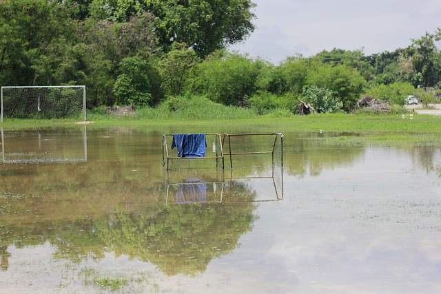 我们期待因 我们期待因