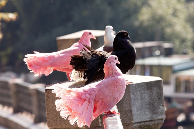 认识到在紧 认识到在紧