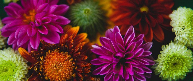 繁亮相的背 繁亮相的背